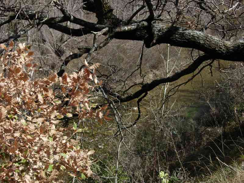 Ribera otoñal del río Isábena